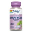 SOLARAY Ginkgo Biloba Extract cu Gotu Kola - Ginko Biloba Capsule pentru suport pentru sanatatea creierului - Vegan, Lab Verified, 60-Day Garantie - 60 Servings, 60 VegCaps (60 VegCaps)