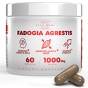 Fadogia Agrestis 1000mg per supliment servire - Extract potent pentru a crește energia, Performanță sportivă și masa musculară - Suplimente, Made in the USA (60 capsule)