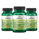 Swanson Lactobacillus Gasseri Probiotic pentru adulţi Căutarea suport digestiv şi metabolic cu 3 miliarde CFU - Acid-rezistant, fără frigider (60 capsule Vegan, 3 cutii)
