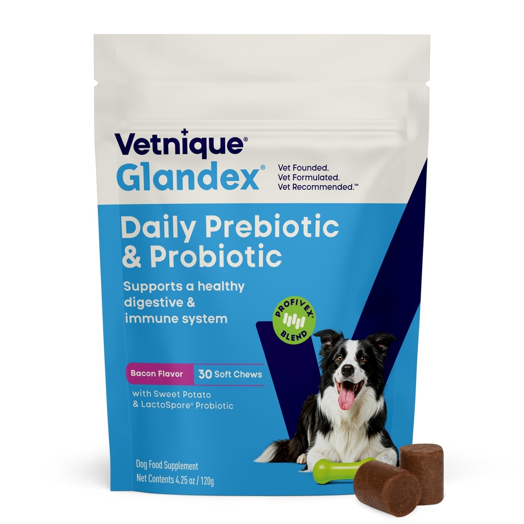 Vetnique Glandex Probiotice zilnice pentru câini cu prebiotice pentru a sprijini sanatatea Gut cu Enzime Fibra si Digestive, Chews Probiotic sau Powders (30ct Chews, Bacon Chews)