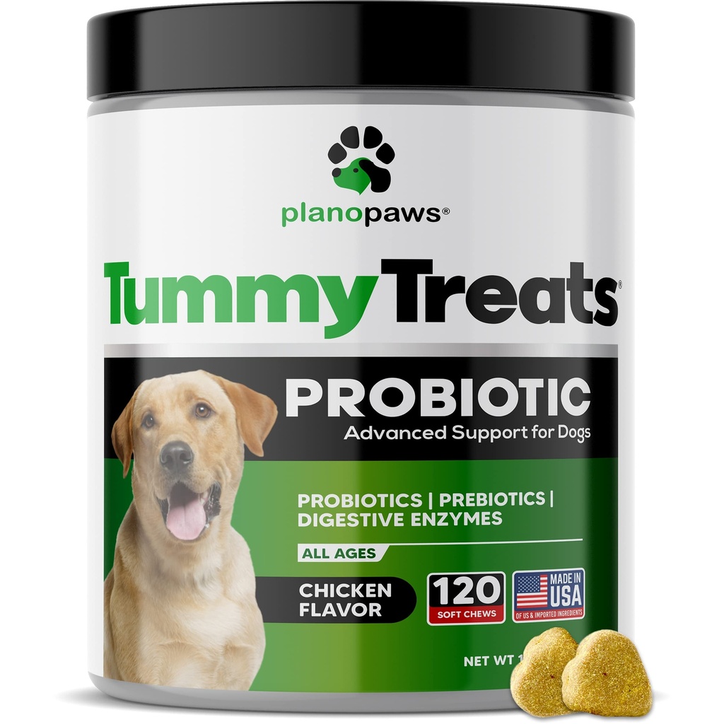 Probiotice pentru câini Digestive sănătate - Probiotice câine și enzime digestive - Alergie ajutor pentru câini - Probiotic pentru câini cu gust de sănătate - catelus Probiotice Tummy tratează - 120 câini Probiotice Chews