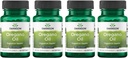 Swanson Ulei Oregano 10:1 Extract - Supliment natural Promovarea sanatatii digestive si suport respirator - Suporturi Sistemul gastrointestinal si sanatatea tractului urinar - (120 Softgels, 150mg Fiecare) (4 Pack)