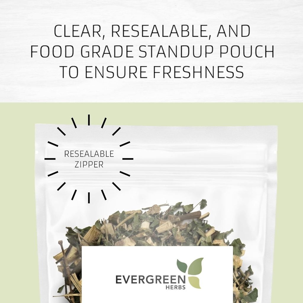 Evergreen Herbs Cuachalate Herb (Amphipetyglum Adstringens) - Se poate ridica pungă pentru a asigura prospețime! (Tea Bags)