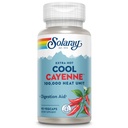 SOLARAY Extra Hot Cool Cayenne 100.000 HU - Tradiţionale Folk Remedy and Digestion Aid - Bio-Cool Process - Lab Verified, GMP Facility, 60-Day Guarantee - 45 Servings, 90 VegCaps