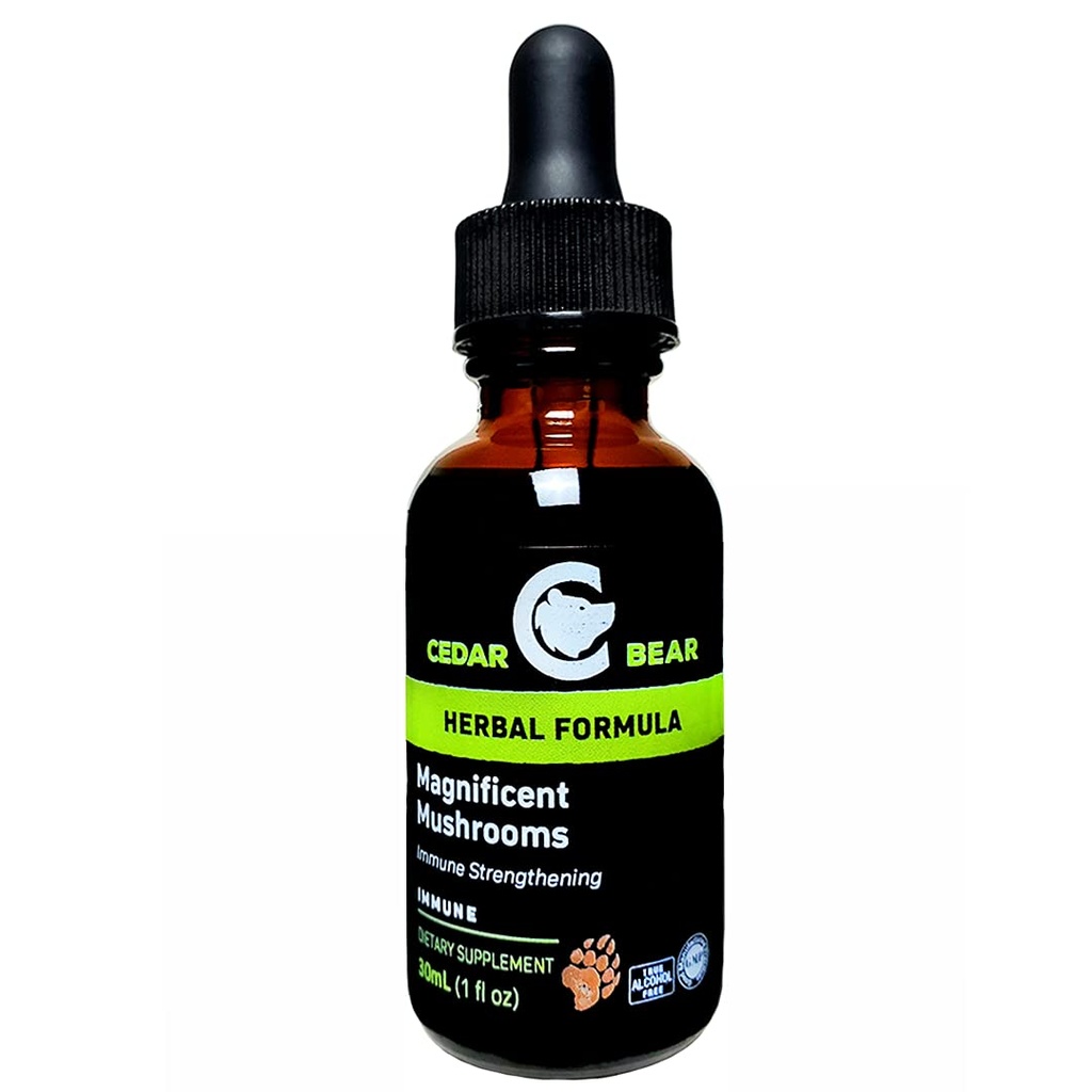 Cedar Bear Ciuperci magnific un supliment de plante lichide care construiește sistemul imunitar, protejează, consolidează și echilibrează sănătatea generală 1 Fl Oz