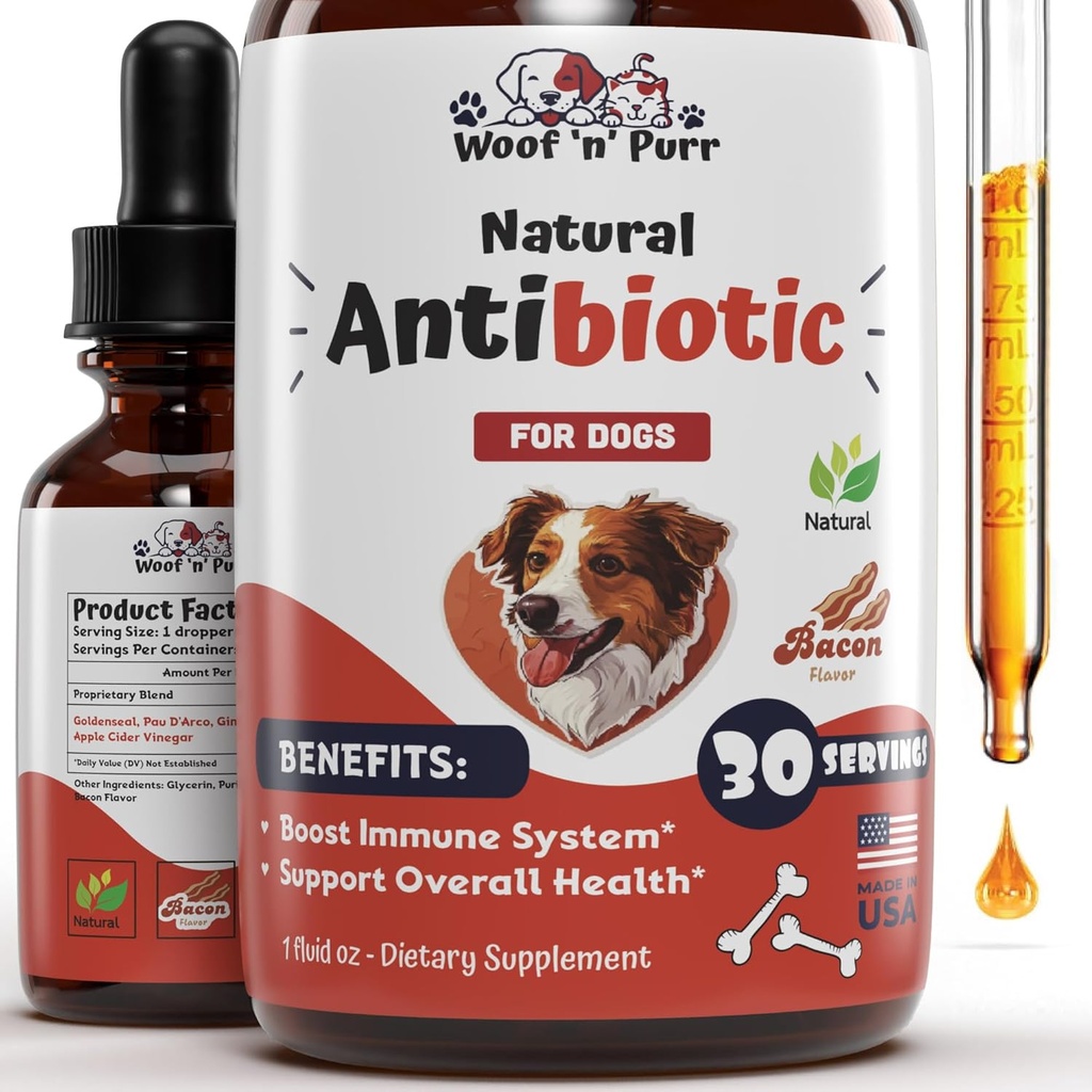 Caine Antibiotice pentru infectie, Tuse, UTI-uri, Alergii, Mâncărime 