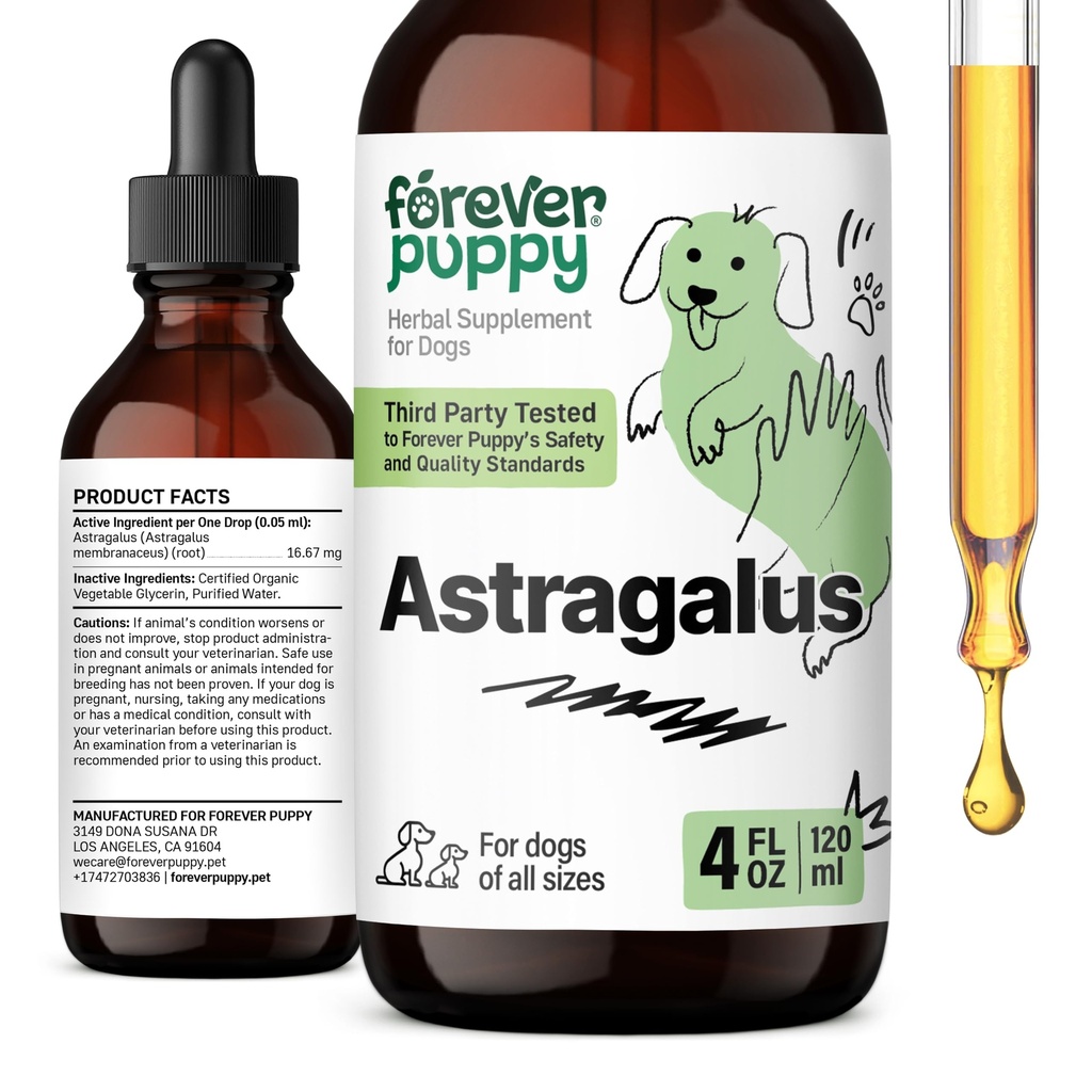 Puppy Astragalus picături de rădăcină pentru câini - Astragalus Membranaceus Extract pentru caini de sprijin imun - Herbal Pet Suplimente lichide pentru imunitate și îngrijire veselă pentru animale de companie - 4 oz