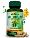 KIKI Green Mullein Leaf Extract capsule - Vegan Herbal Supliment - pentru Lung Cleanse, Suport, O mai bună funcţie respiratorie, Immune - 1000mg 45 Serviri - 90 Conte