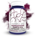 Andrographis panichulata Capsules 
