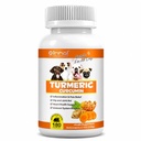 Turmeric pentru câini 