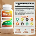 Cele mai bune naturale Niacin 500 mg 250 comprimate cu Flushing - De asemenea, numit vitamina B3 (250 Conte (Pachet de 2))