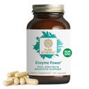 PURE SYERGY Enzyme Power 