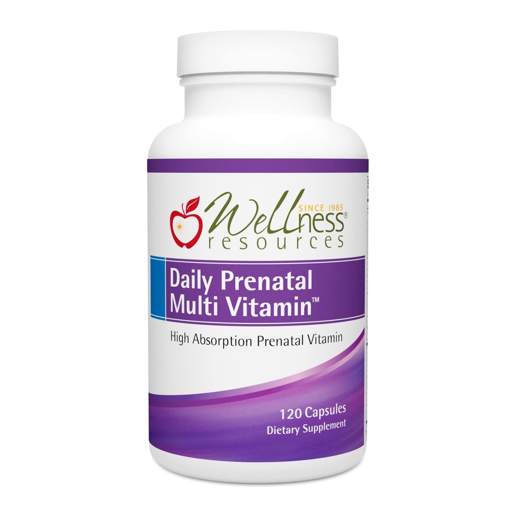 Resurse de wellness Daily Prenatal Multi Vitamina - Folat metilat Zinc Fier Bisglicinat Choline & Cheie Nutrients - Natural postnatal vitamine postnatale postpartum pentru femei - 120 Capsuri