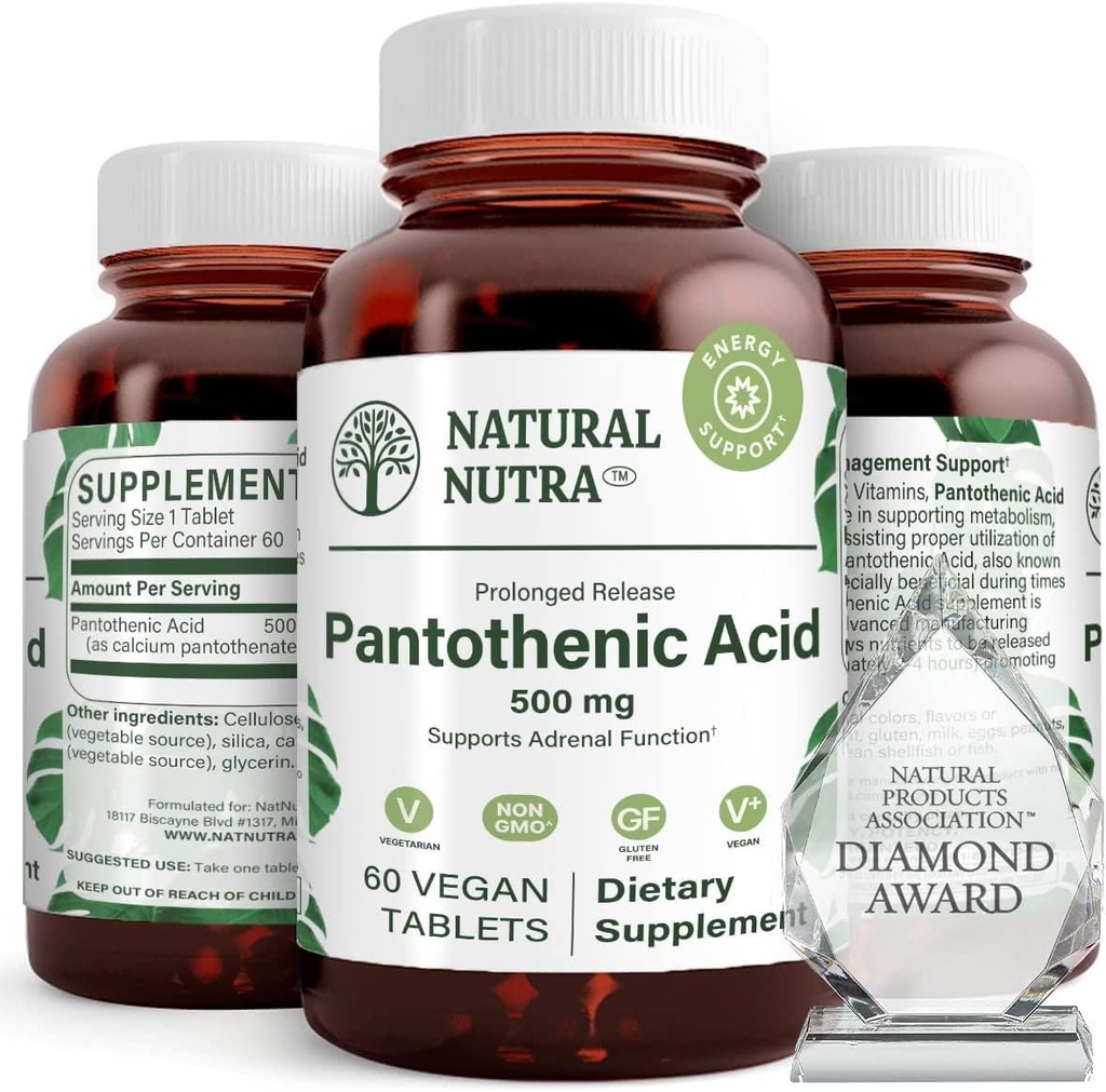 Natural Nutra timp de eliberare Acid pantonic 500 mg, vitamina B5 Supliment ajută rupe în jos grăsime și carbohidrați, metabolice și energie, Îmbunătățirea sănătății musculare, 60 comprimate vegetariene (3 ambalaj)