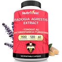 Nutrivein Premium Fadogia Agrestis și Tongkat Ali Supliment cu Turkesteron - 1100 mg - 120 Caps - Blend sinergic pentru performanță, Putere, & Recuperare pentru bărbați și femei de toate vârstele