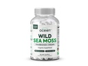 Organics Ocean Wild Sea Moss Capsule - 100% Organic Irish Sea Moss cu Chlorella organică, Bladderwrack și vitamina D pentru energie, Lung Sănătate și sprijin tiroidian pentru femei și bărbați - 60 capsule