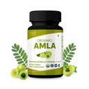 Amla 120 tablete 