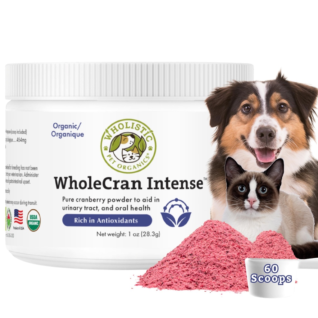 Wholistic Pet Organics WholeCran Intense: Organic Cranberry pulbere pentru câini Tract urinar Suport pentru rinichi pentru câini UTI Tratament Vitamina C și antioxidanți câine Incontinenta produs