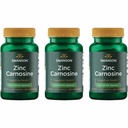 Swanson Zinc Carnosine (PepZin GI) - Suplimentul natural Promovarea sanatatii gastrice si suport digestiv - Suporturi echilibru microbial in stomac - (60 capsule) (3 ambalaj)