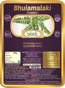 Veena Biotic Bhumi Amla pulbere (Phyllanthus Niruri) Bhoomi Amla pulbere - Bhuiamlaki pulbere - 100 gm