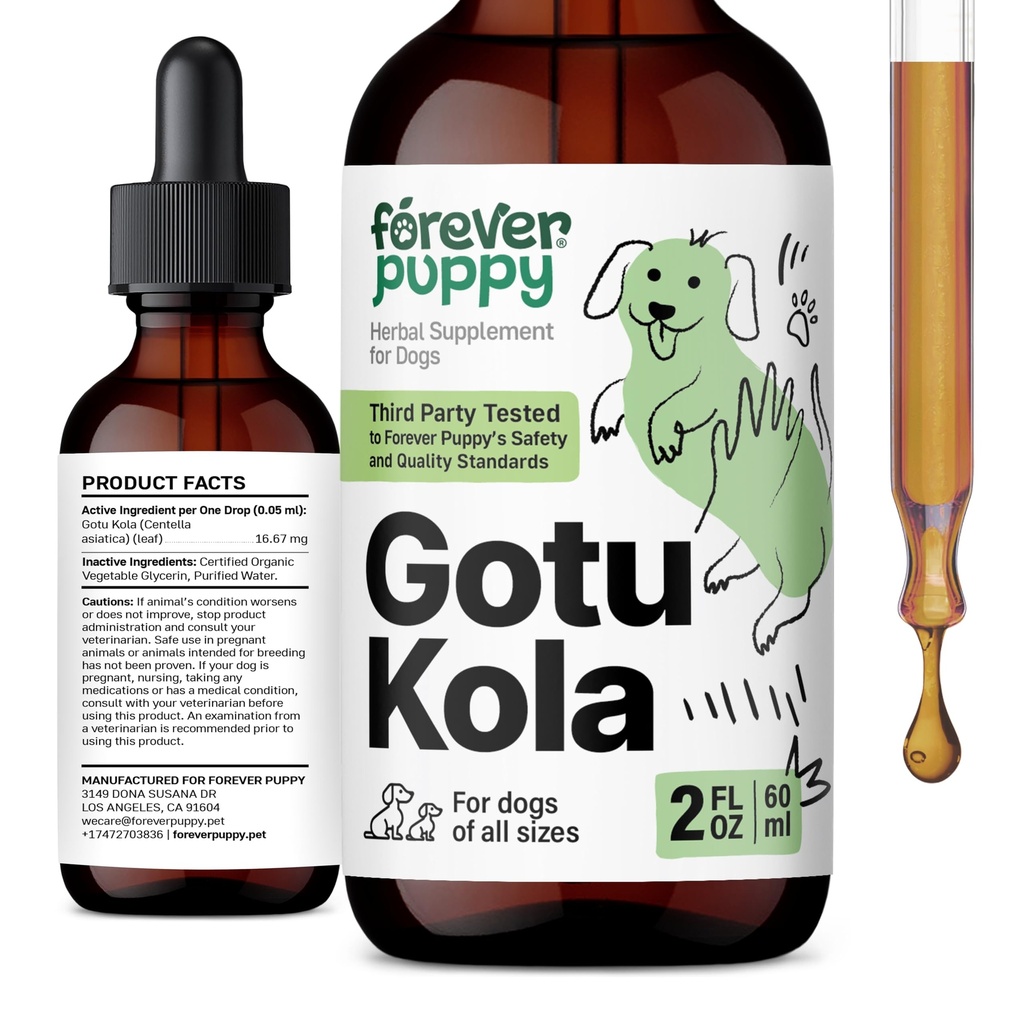 Puppy Gotu Kola picături pentru câini - Centella Asiatica & Gotu Kola Extract pentru Brain Health Supplement Liquid Brain pentru câini de toate Rasele & Dimensiuni - 2 oz