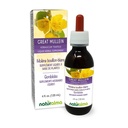 Naturalma Great Mullein sau Mullein comun (Verbascum tapsus) Floare și frunze de alcool - 4 fl oz Extract lichid în picături - Supliment vegetal - Vegan