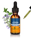 Herb Pharm Certified Organic Catnip Extract lichid pentru calmarea suport sistem nervos, 1 Fl Oz