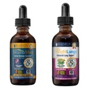 MunoMax & Plămâni Bright - Advanced Imunity & Lung Supplement - Livrare lichid pentru o mai bună absorbție - Elderberry, Lobelia, Echinacea, Turmeric, & More!