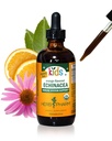Herb Pharm Kids Certified-Organic Alcool fără Echinacee Glicerite Extract lichid, 4 oz