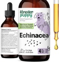 Catelus Echinacea picături pentru câini - Imunity Support & Respiratory Health w/Echinacea Herb extract - Liquid Immune Supplement Supplement pentru câini de toate Rasele & Dimensiuni - 4 oz