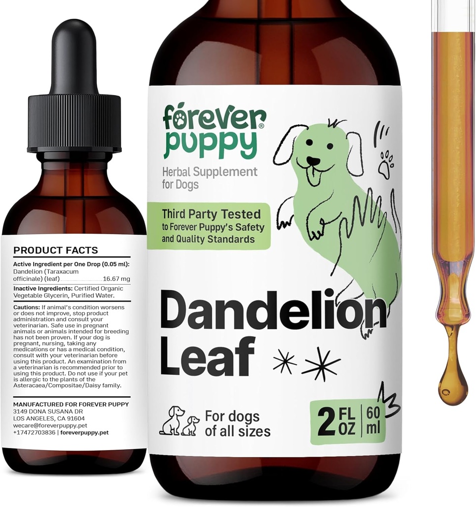Păpuși Dandelion picături pentru câini - Rinichi Sanatate lichid Supliment pentru câini de talie mare, mediu și mici - Rinichi Curățare picături de detoxifiere w / păpădie frunze Tinctură - 2 oz