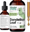 Păpuși Dandelion picături pentru câini - Rinichi Sanatate lichid Supliment pentru câini de talie mare, mediu și mici - Rinichi Curățare picături de detoxifiere w / păpădie frunze Tinctură - 2 oz