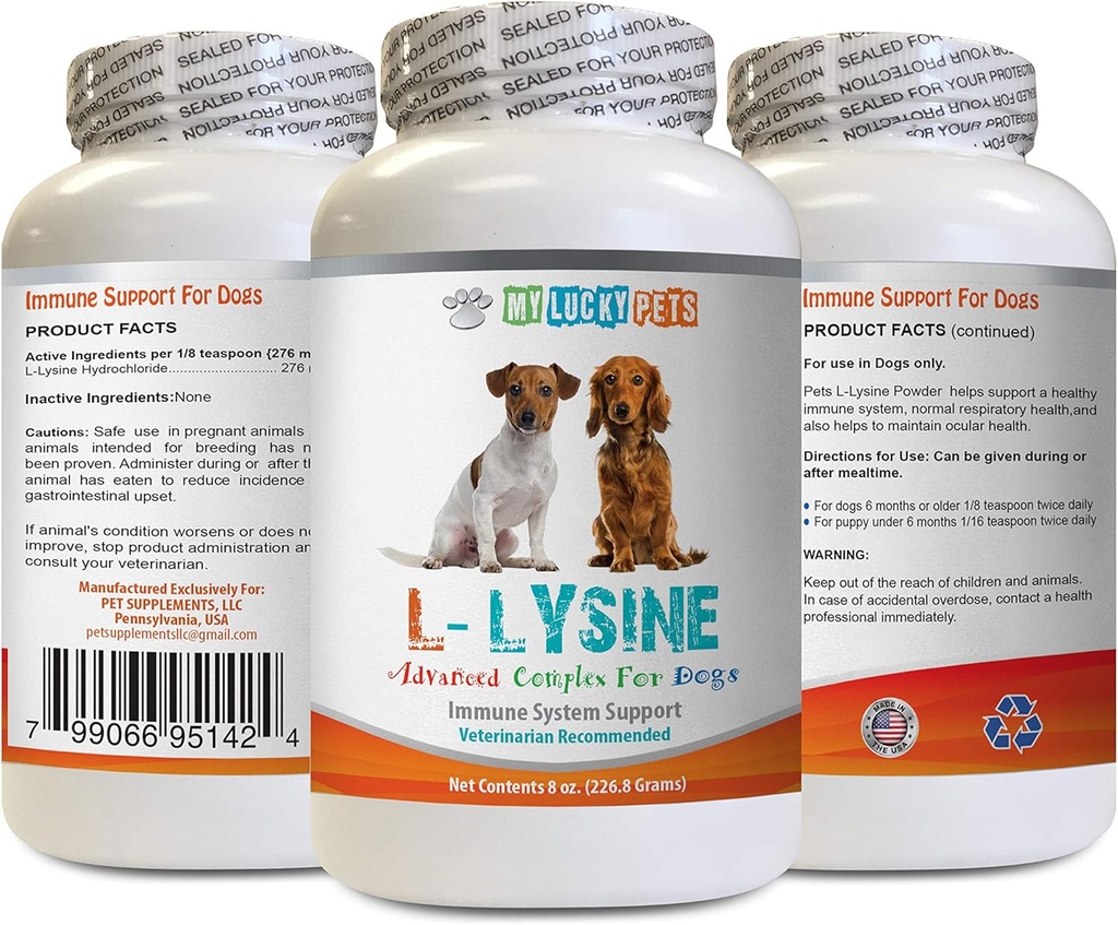 Dog Amino Acid Suplimente - LYSINE pulbere de câine - formă de pulbere pură - Sistem imunitar Suport - Vet Recomandat - Lysine Dogs - 1 flacon (8oz 226.8 Grams)