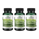 Swanson Lion's Mane Mushroom - Traditional Brain Booster Supplement Made from Hericium Erinaceus (60 capsule, 500 mg fiecare) 3 Pack