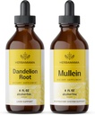 HERBAMAMA Herbal Liquid Drops Kit - Bundle of Dandelion Root and Mullein Leaf Tincture 4 fl oz - Vegan, Non-GMO, Sugar & Alcool-Free - 2 Pack