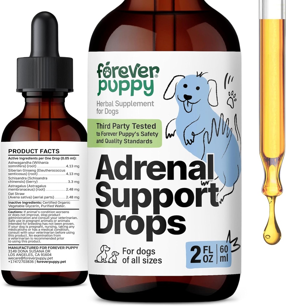 Pentru totdeauna picaturi de suport adrenal pentru câini - pur Ashwagandha & Ginseng Root Tinctură pentru sănătate suprarenală și suport energetic - calmarea supliment lichid de îngrijire pentru câini de toate rasele și dimensiunile - 2 oz