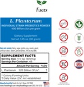 Alimente pentru Gut Lactobacillus Plantarum Probiotic Powder 400 Miliarde de cfu 