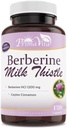 Berberine HCL 1200mg cu muls de lapte și scorțișoară Ceylon, Activator metabolic Ampk, Sistem imunitar sănătos și wellness gastro-intestinal, 40 Serviri, 120 Capsule Veggie
