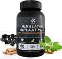 Silajit Himalayan Supliment 60% Acid fuzelian, 120 capsule Vegan Aprovizionare cu Shilajit natural pur, Ashwagandha, Extract de ginseng - High in Trace Minerals for Men Energy Support