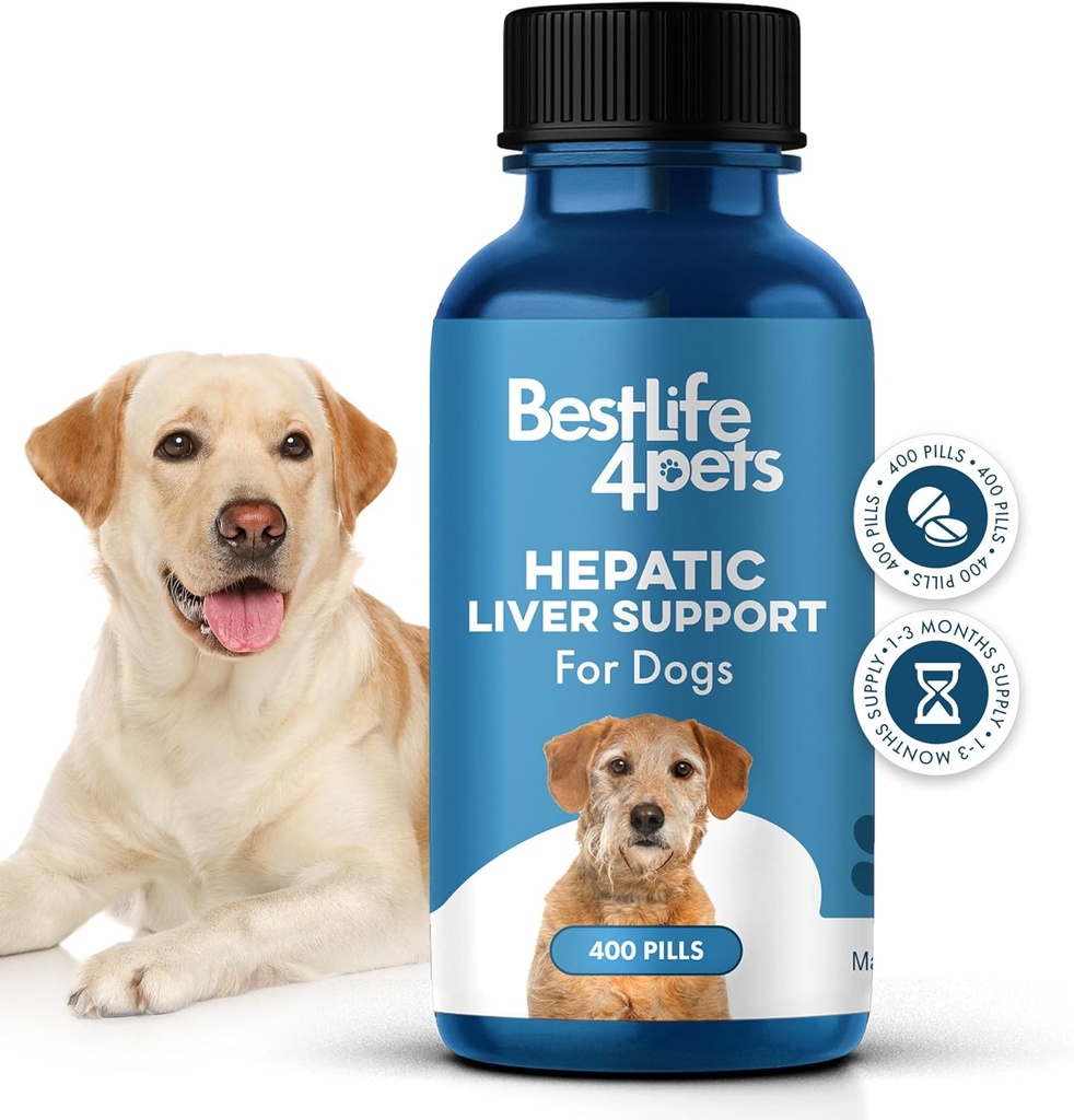 Suport hepatic pentru ficat pentru câini, Dizolvabil Homeopatic Digestive Canin Supliment pentru Detoxifiere Ficat și Absorbție Nutrient, 100% Toate naturale, ușor de dat, fără substanțe chimice sau aditivi, 400 pastile