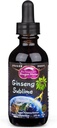 Dragon Herbs Ginseng Drops Sublime 
