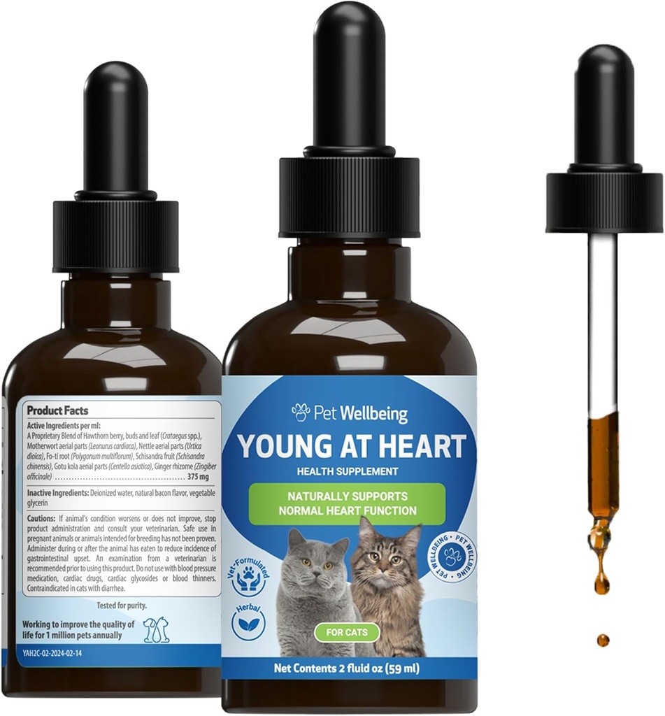 Pet Wellbeing Young at Heart for Cats - Vet-Formulat - Heart Health, Circulation & Cardiovascular System, Hawthorn, Motherwort, Schisandra - Herbal Supplement 2 oz (59 ml)