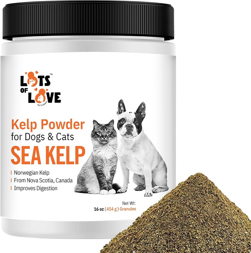 Pulbere Kelp pentru câini și pisici - Supliment de alge marine organice (16 Oz, 1 Pound)