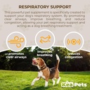 Doggie Condiments Pet Respirație de animale de companie Un supliment de câine natural pentru respirație de câine Optimal, Sinusuri clare, Tuse, Strănut și Congestion Relief pentru câini