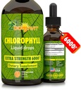 Clorofila lichid scade 100% Vegan organic - energie și sistem imunitar Booster Supliment cu aroma de menta pentru apă - Deodorant intern natural - Extra Putere 6000mg 120 Serviri