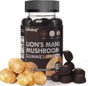 Lions Mane Mushroom Gummies for Nootrop Brain Supplement, Immune Supplement Mushroom Supplement Berrry Flavor 60 Count