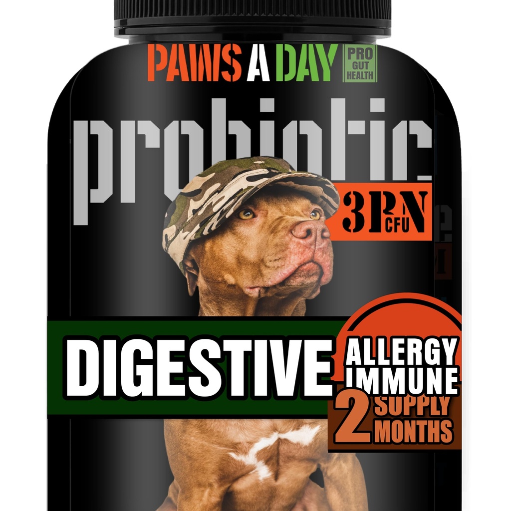 Soldat Armatei Probiotice câine deținute pentru Drojdie, Itchy Skin & Itchy Ears, Dog Alergia Ajutor, Digestive Health, Ocazional Diaree & Imunity Support, 3 Miliarde CFU, 60 Yummy Chewables