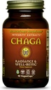 HealthForce Super Foods Integritate extractii Chaga - Capsule Vegan 90