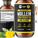 HERBIFY Mullein Extract 2 oz Tinctură pentru sănătate respiratorie, Mullein frunze și flori Blend (Verbascum Densiflorum)
