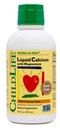 Copii de viaţă esenţiale supliment de calciu lichid pentru copii - Baby Calciu cu magneziu, zinc, şi vitamina D3 - Orange Flavor, 16 fl oz (1 ambalaj)